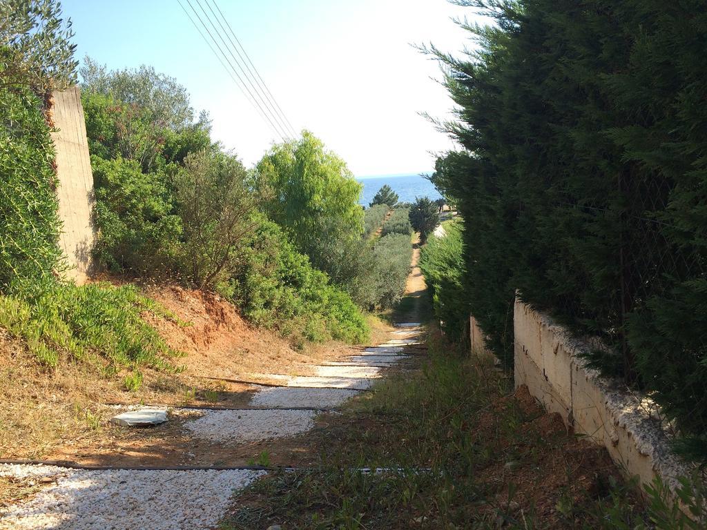 Kostas House Apartman Jerakiní Szoba fotó